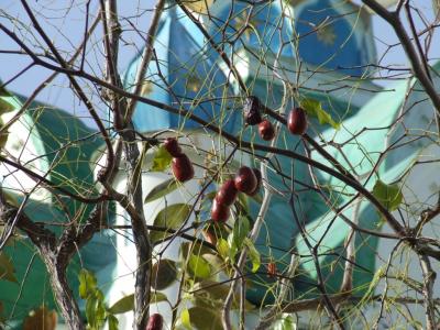 Прикрепленное изображение: DSCF6225.jpg